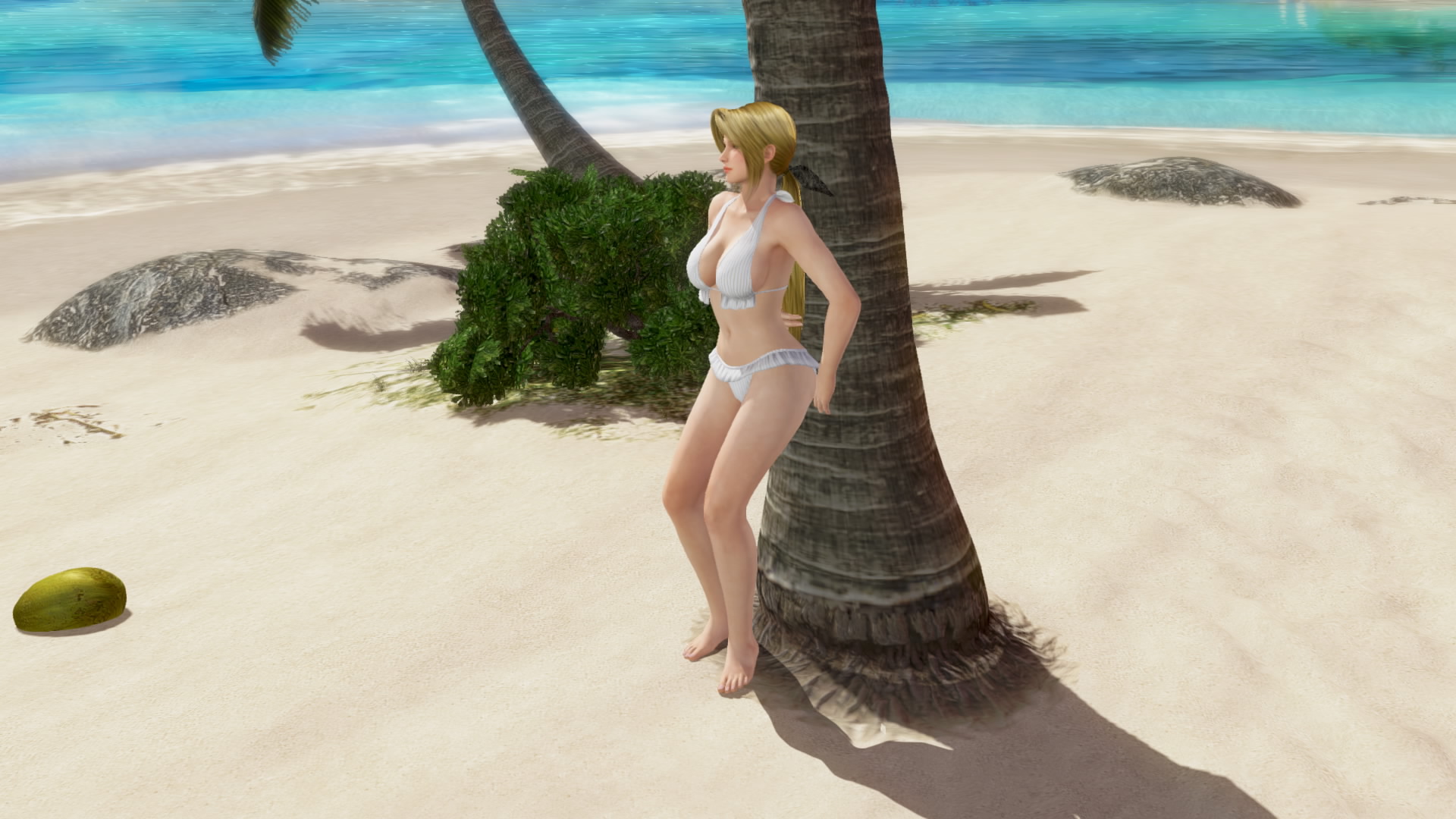 DEAD OR ALIVE Xtreme 3 Fortune__14.jpeg