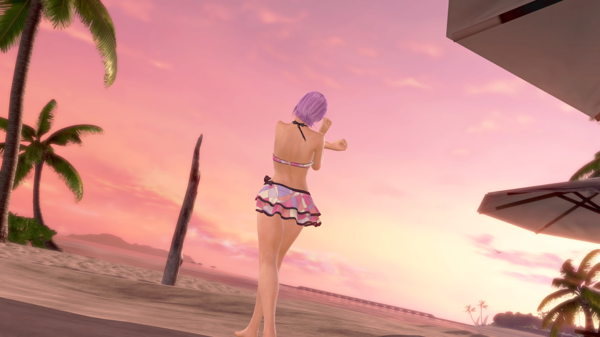 DEAD OR ALIVE Xtreme 3 Fortune__16.jpeg