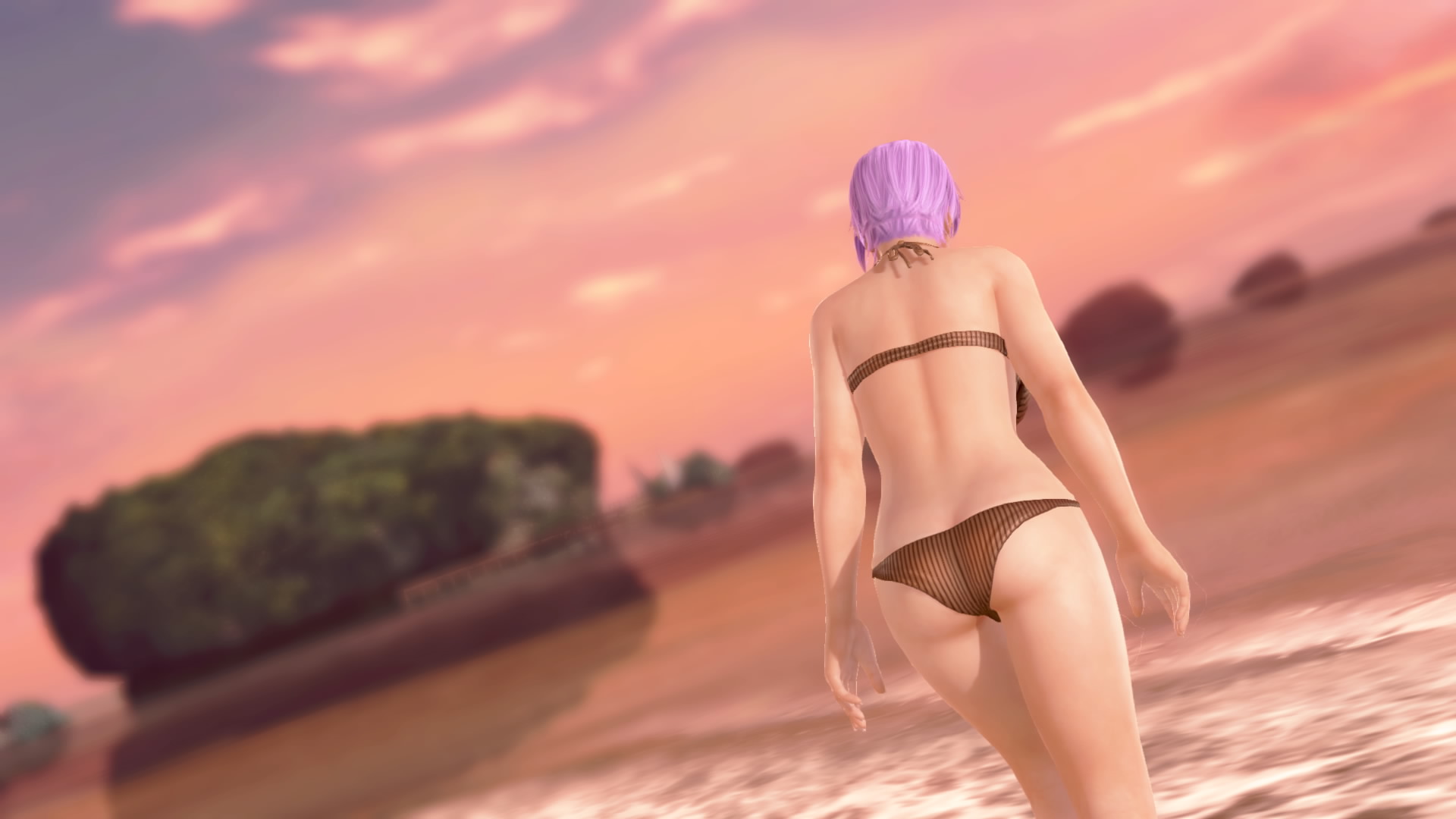 DEAD OR ALIVE Xtreme 3 Fortune__28.jpeg