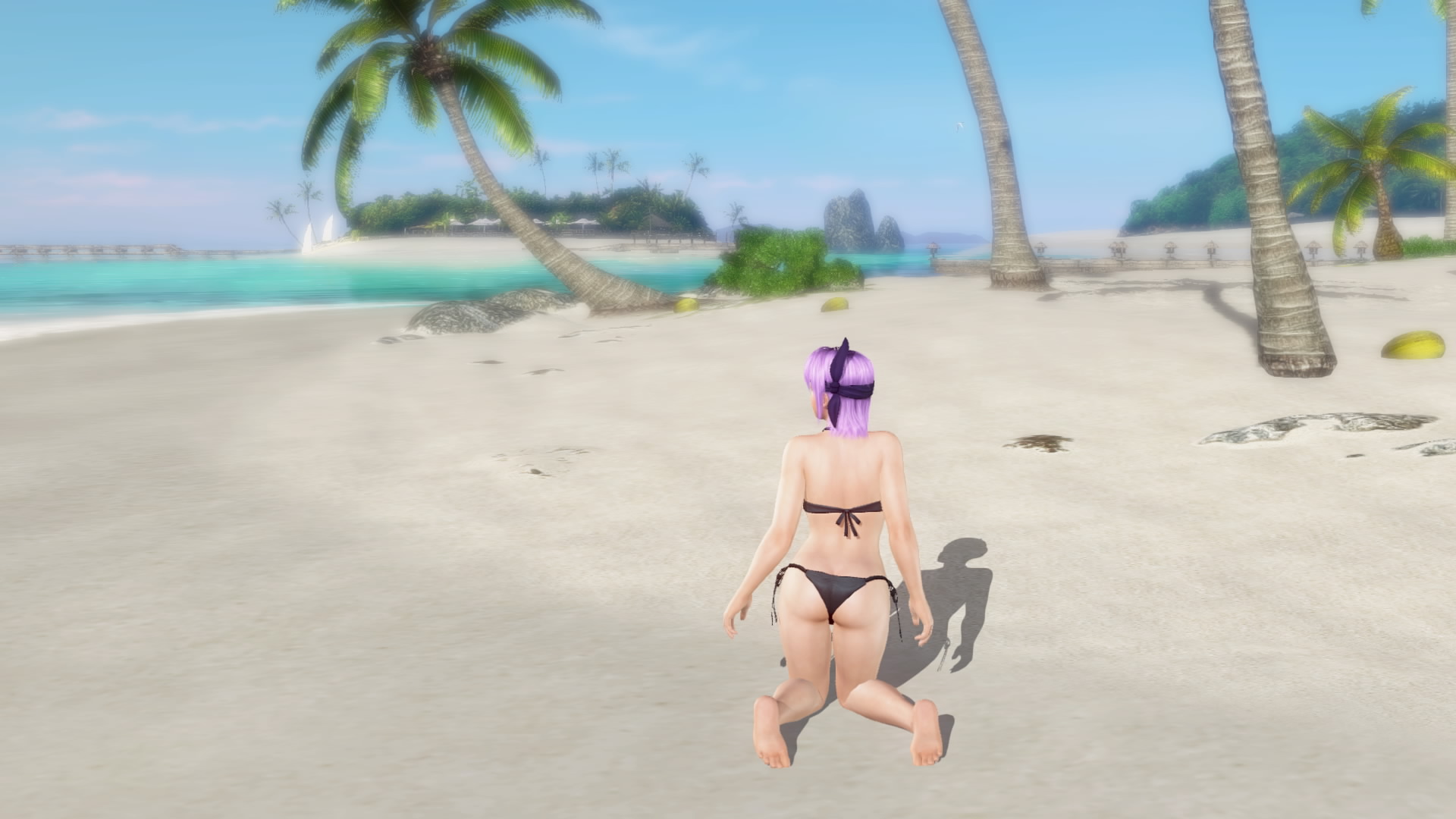 DEAD OR ALIVE Xtreme 3 Fortune__63.jpeg