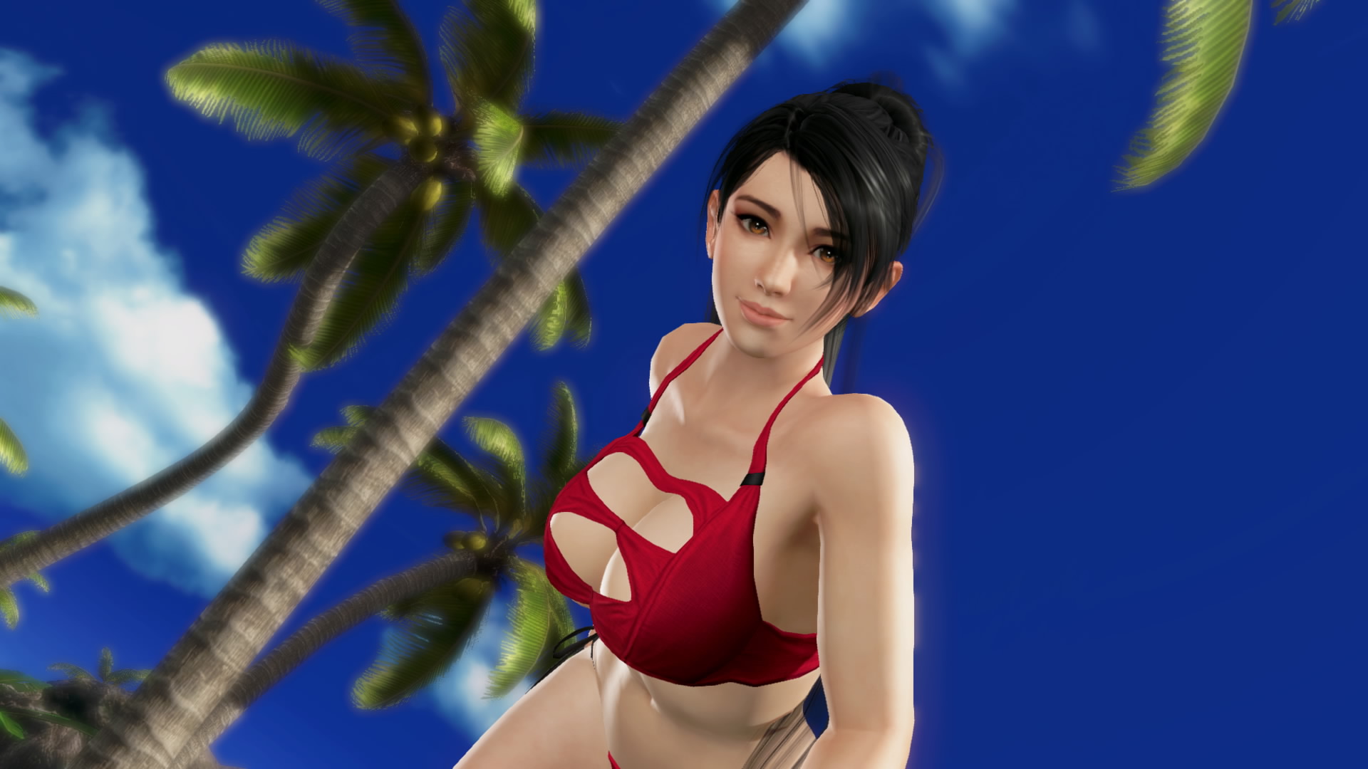 DEAD OR ALIVE Xtreme 3 Fortune__90.jpeg
