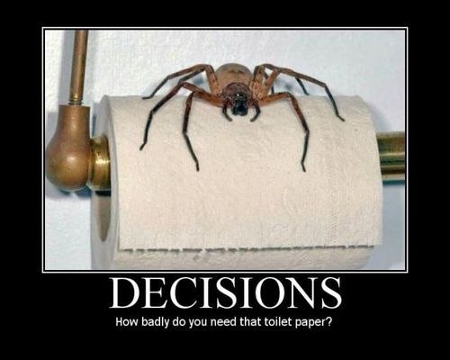decision spider.jpg