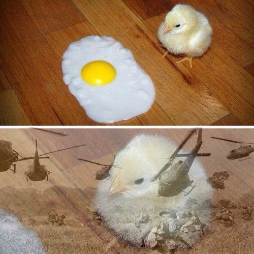 Dfsyxl8W0AExJ8t.jpg