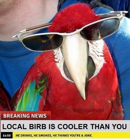 Dh6m5_tW0AAOD6P.jpg