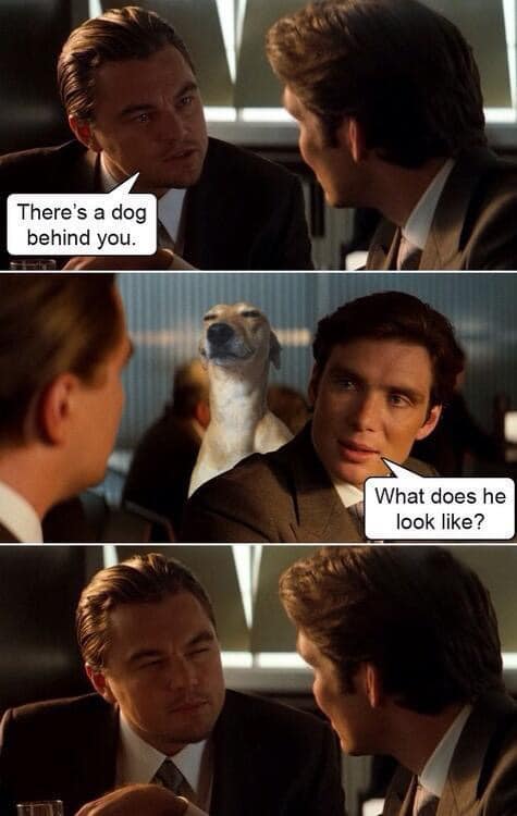 dicaprio dog.jpg