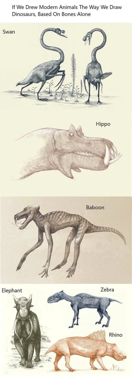 Dino.jpg