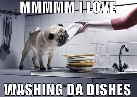 dishes.JPG