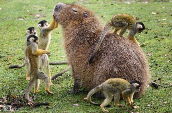 DiZeOPzWAAY3M82.jpg