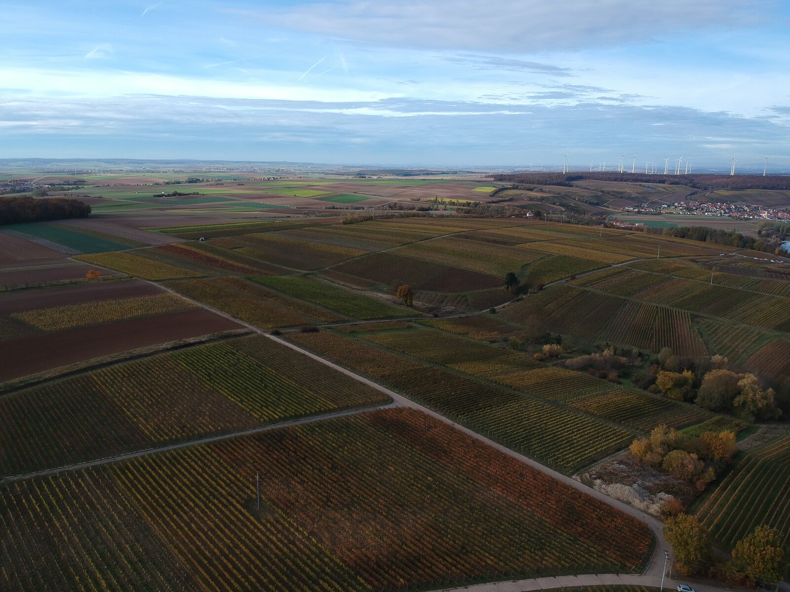 DJI_0192.JPG