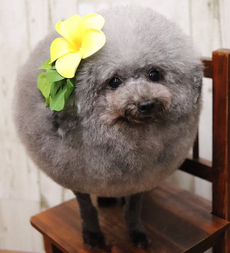 DkFYiyvU8AAbfY9.jpg