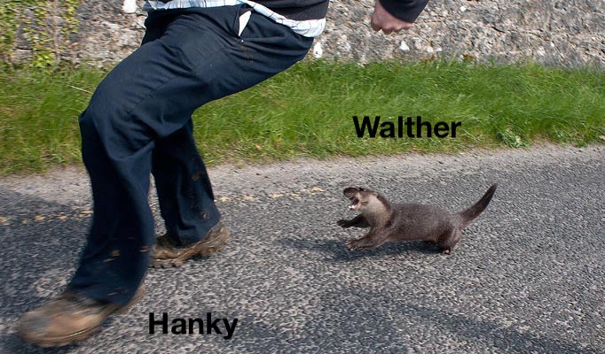 DlTOaTeW4AAMYWu.jpg