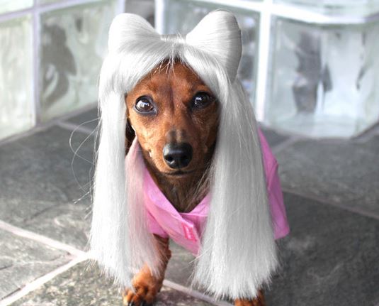dog lady.JPG