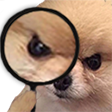 dogedetective.png