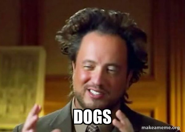 dogs-5c8a59.jpg