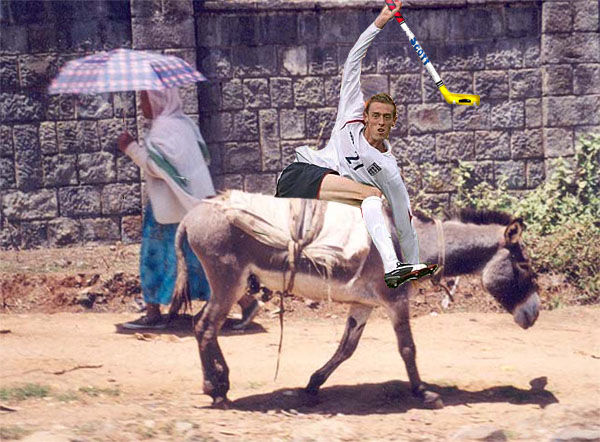donkeey4tt.jpg