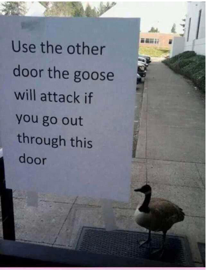 Door.PNG