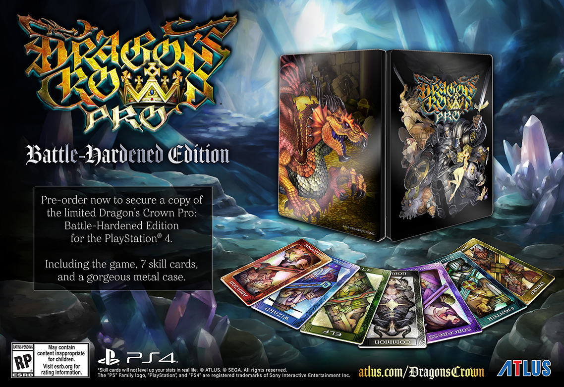 Dragons-Crown-Pro_2017_12-20-17_001.jpg
