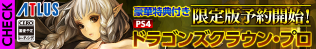 Dragons-Crown-Pro_Leak.png