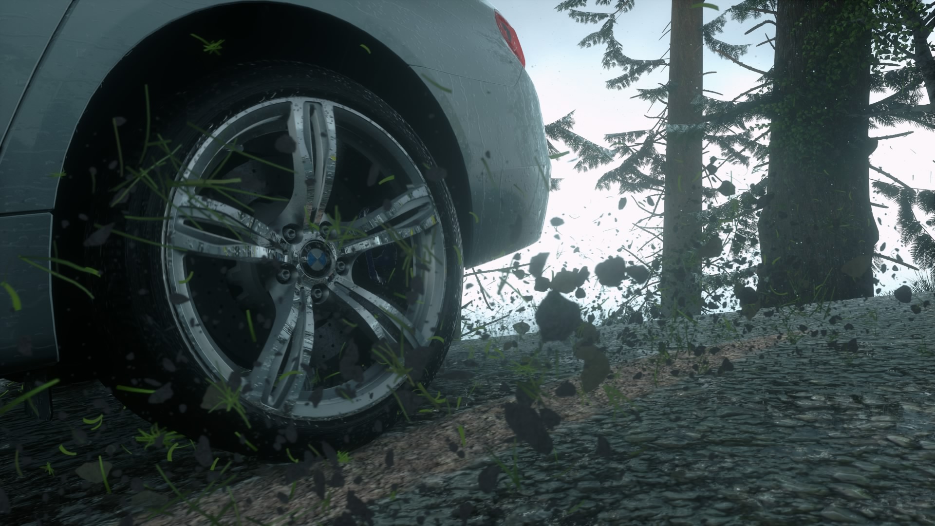 DRIVECLUB™_20150423232431.jpg