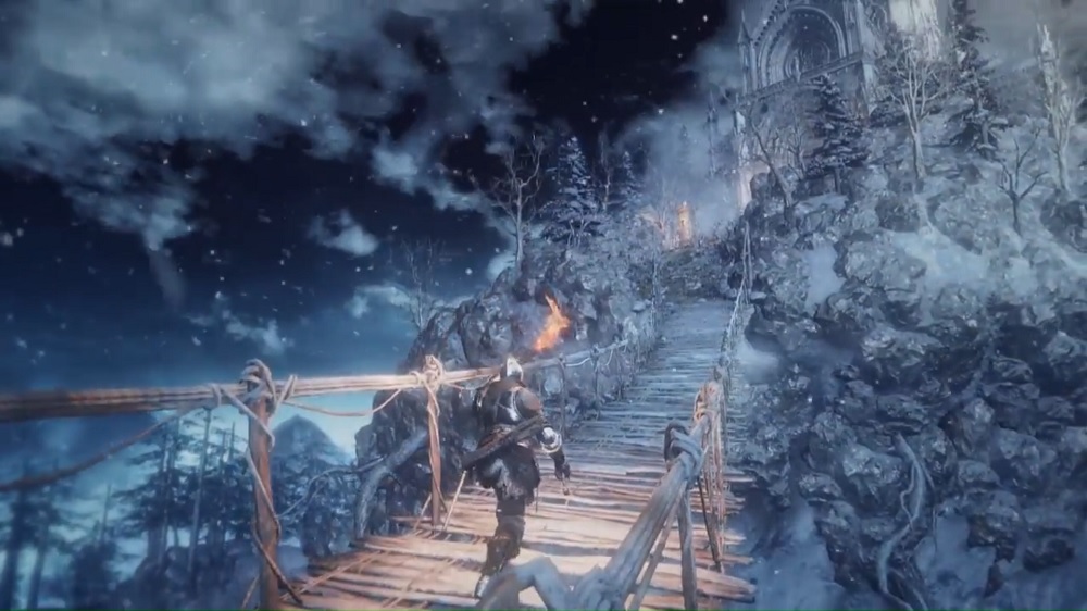 ds31dlc.jpg