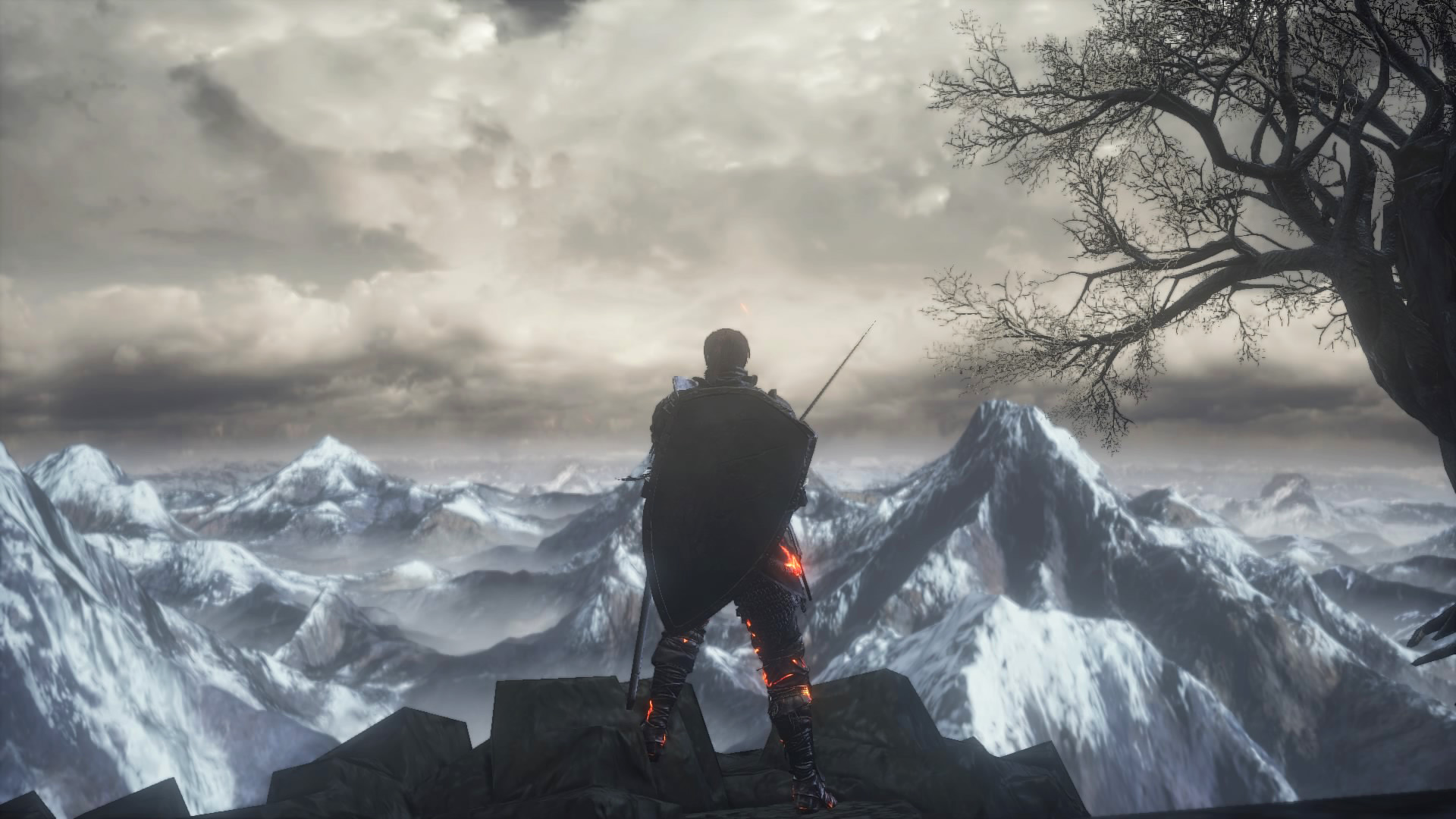 DS3_01.jpg