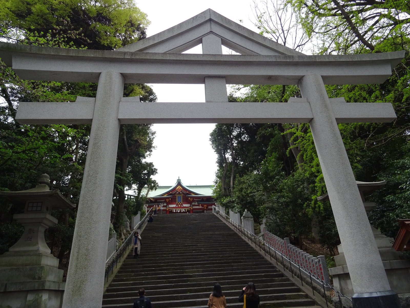 DSC00270.JPG