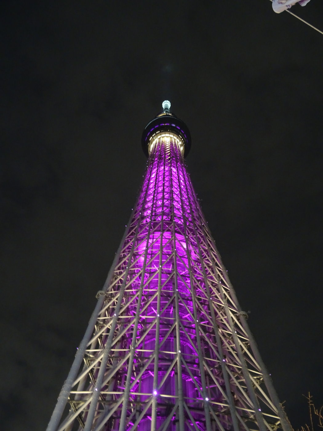 DSC00398.JPG