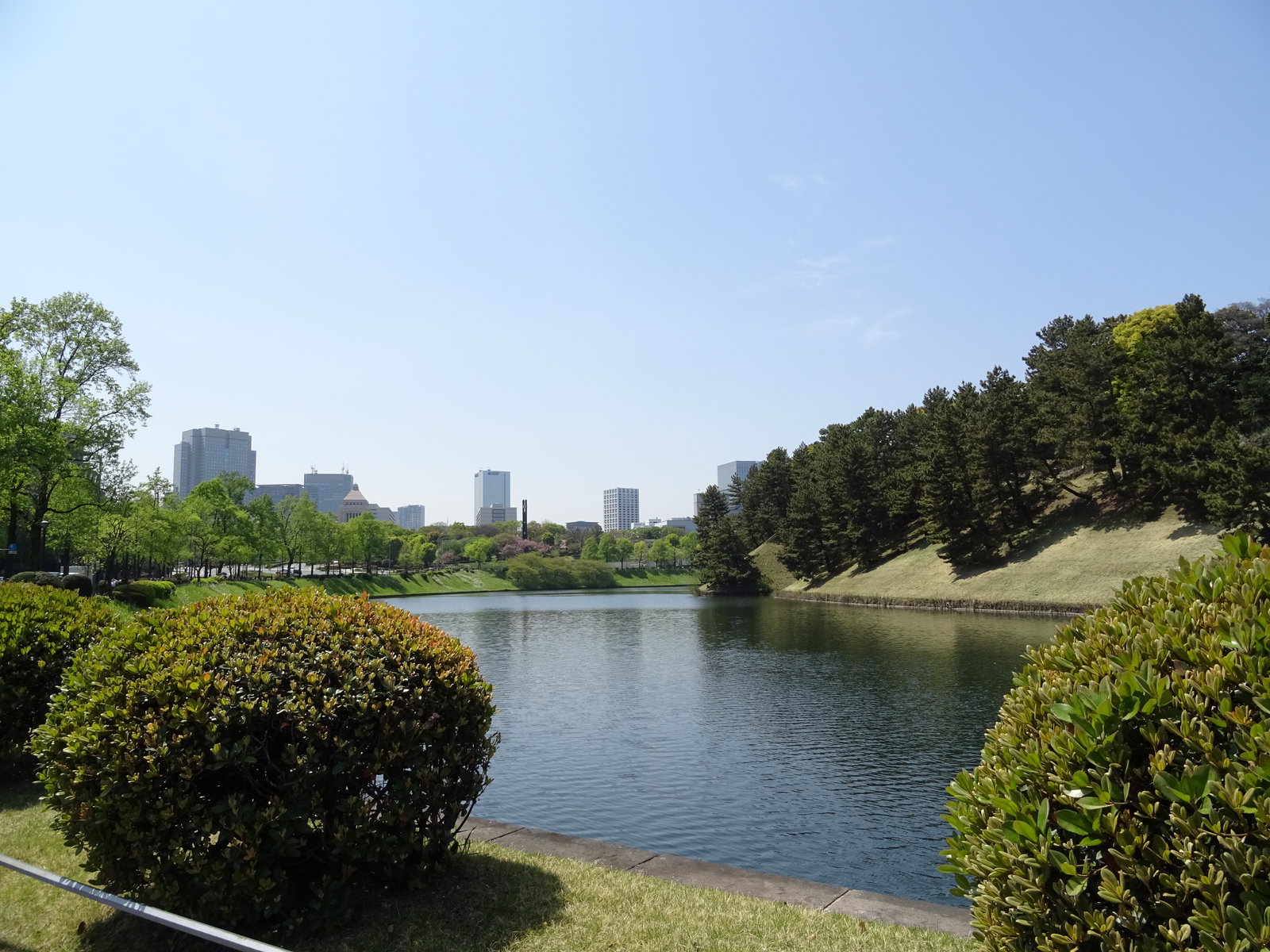 DSC00528.JPG
