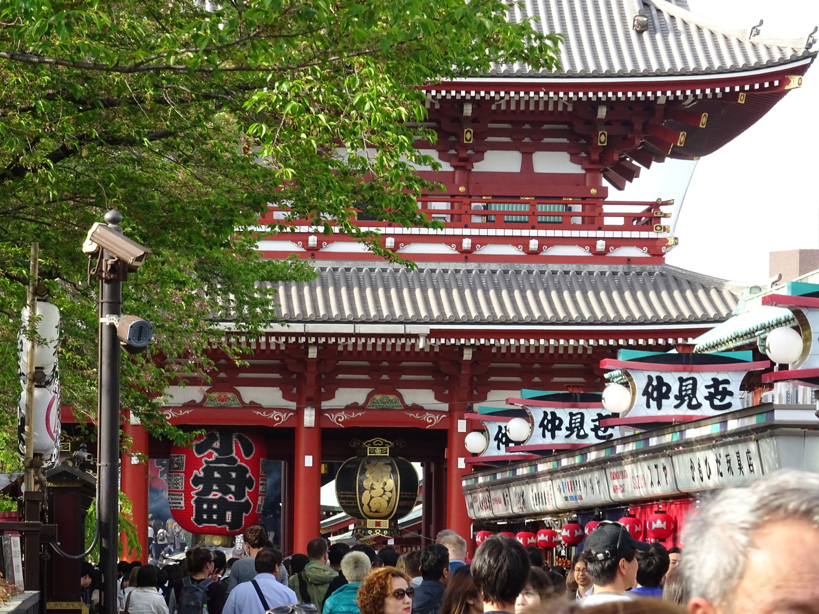 DSC00575.JPG