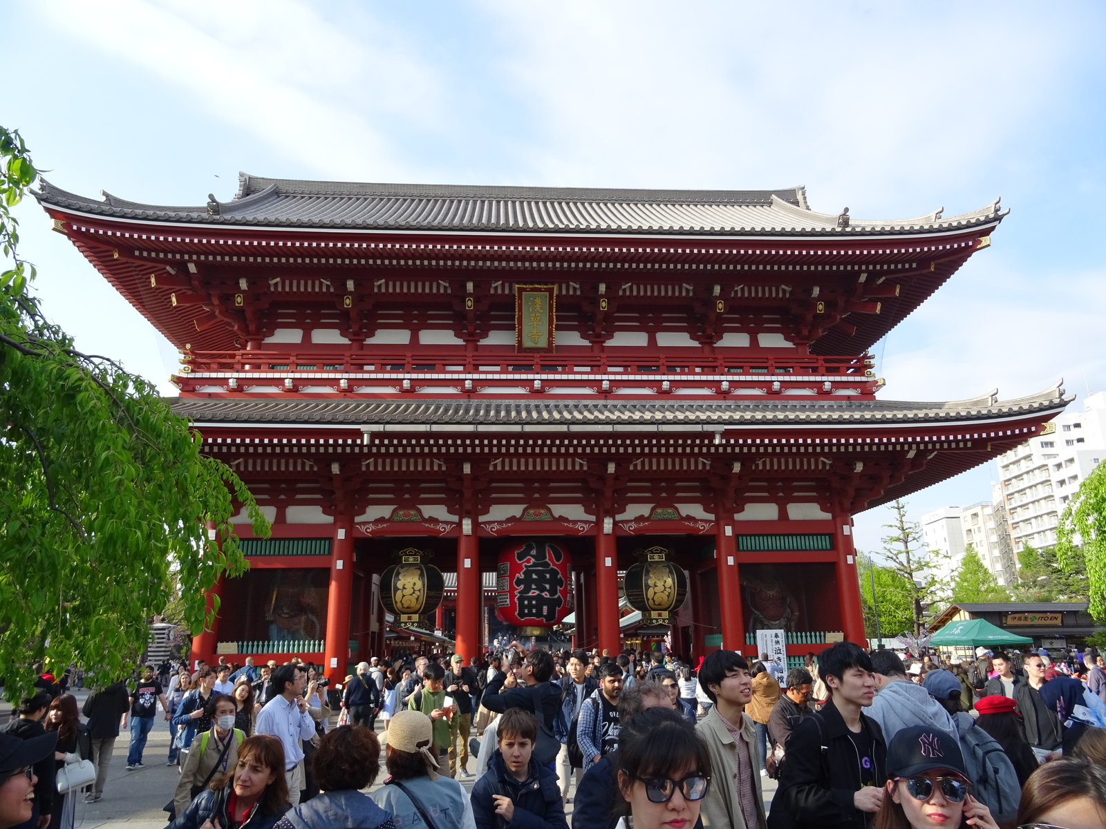 DSC00579.JPG