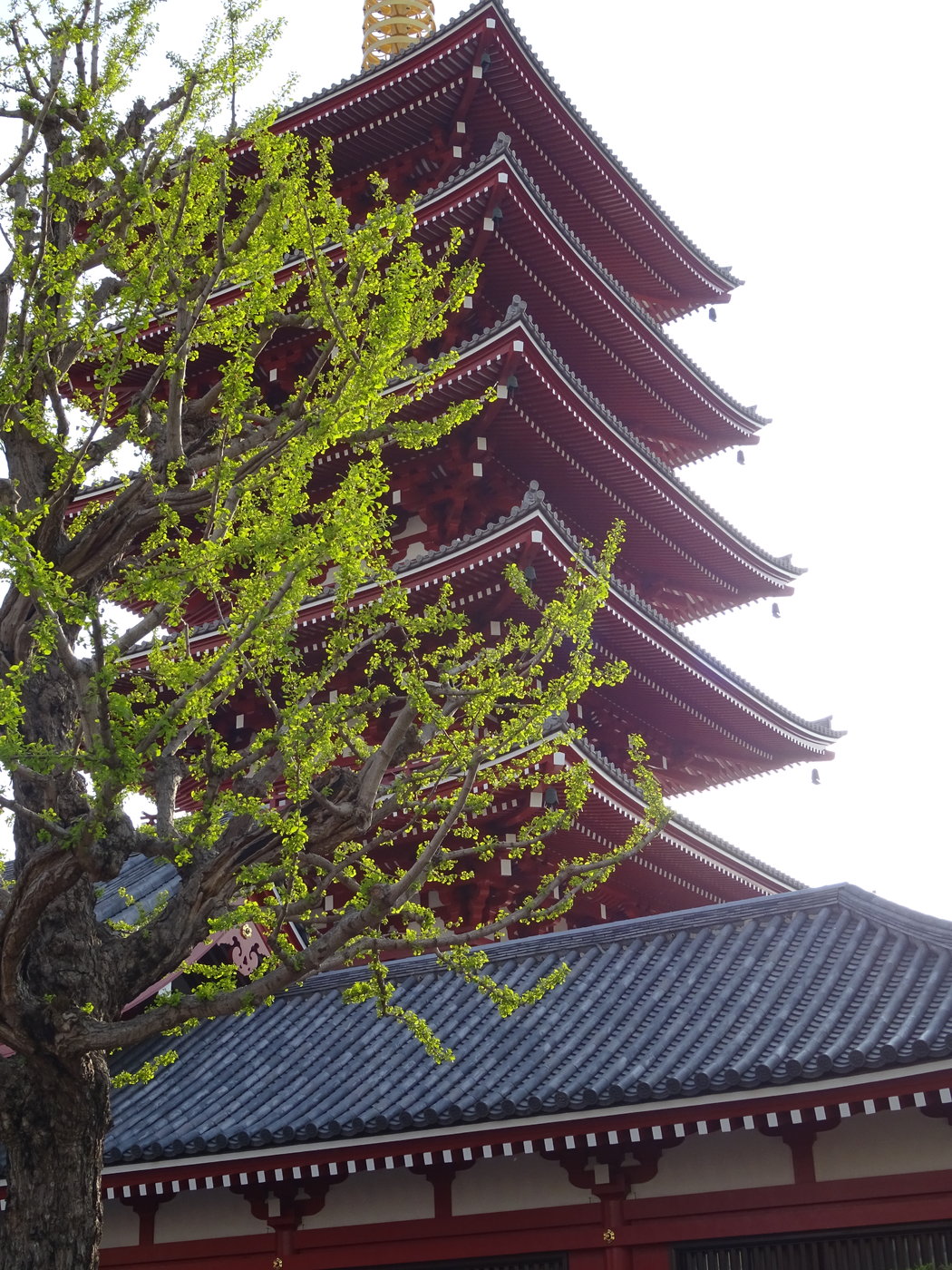 DSC00593.JPG