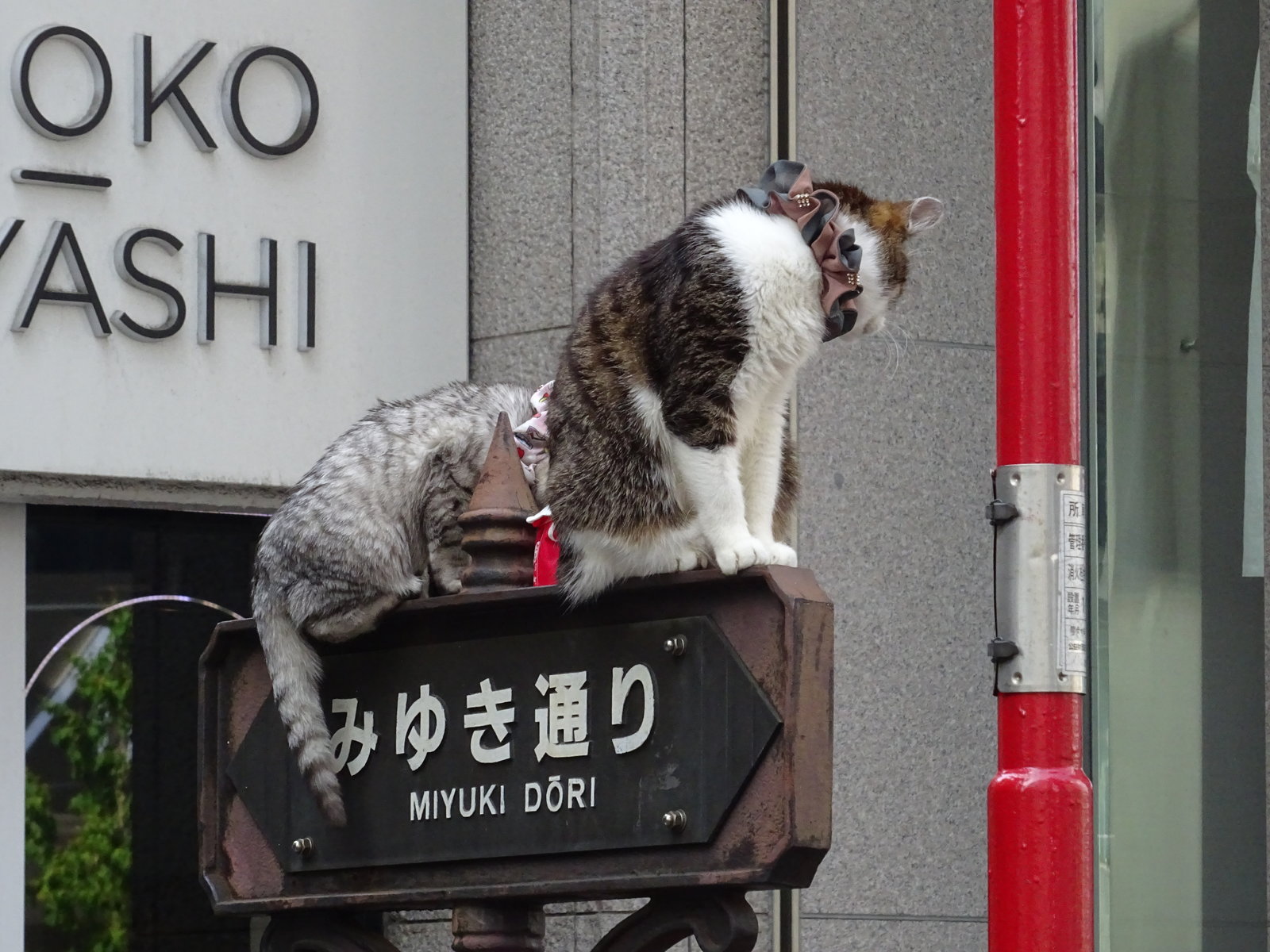 DSC00610.JPG