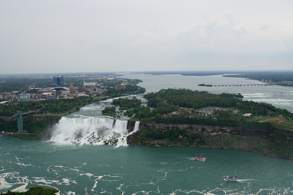 DSC00771.JPG
