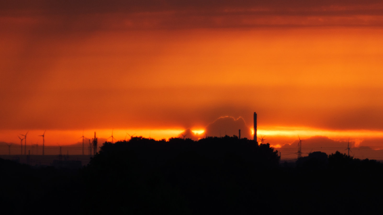 DSC00914.jpg