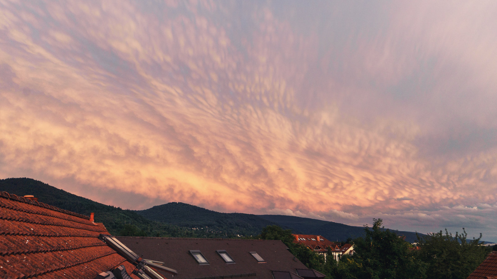 DSC00982-Edit.jpg