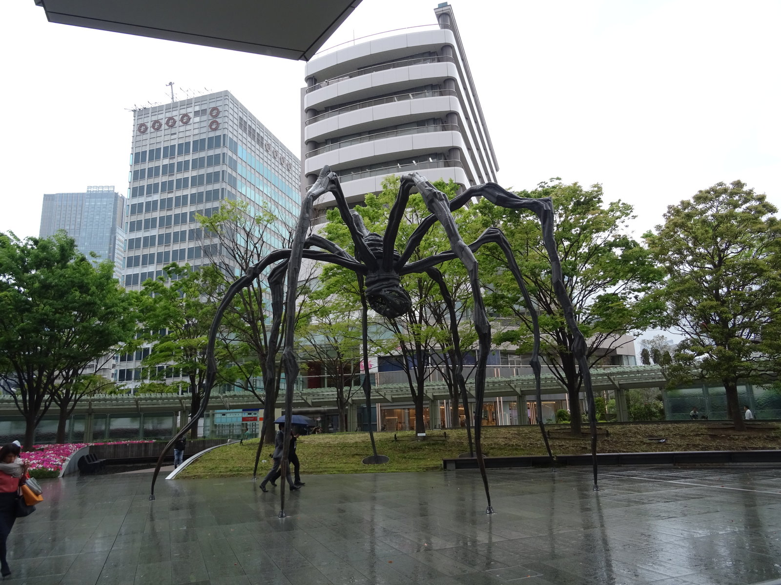 DSC00982.JPG