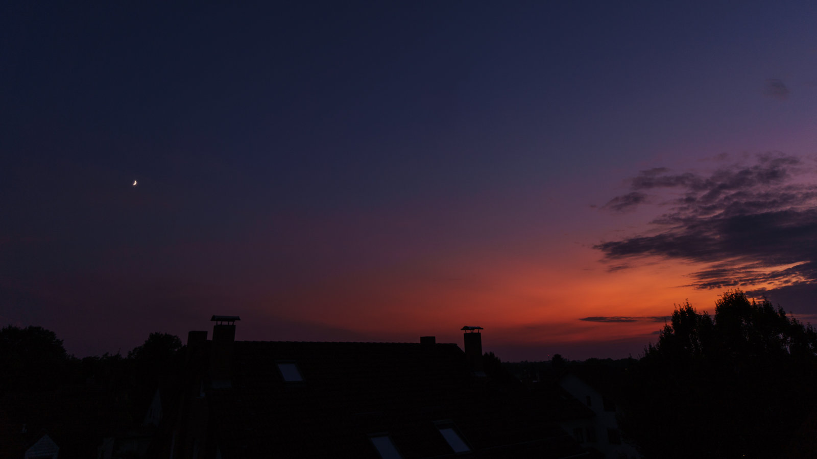 DSC01003.jpg
