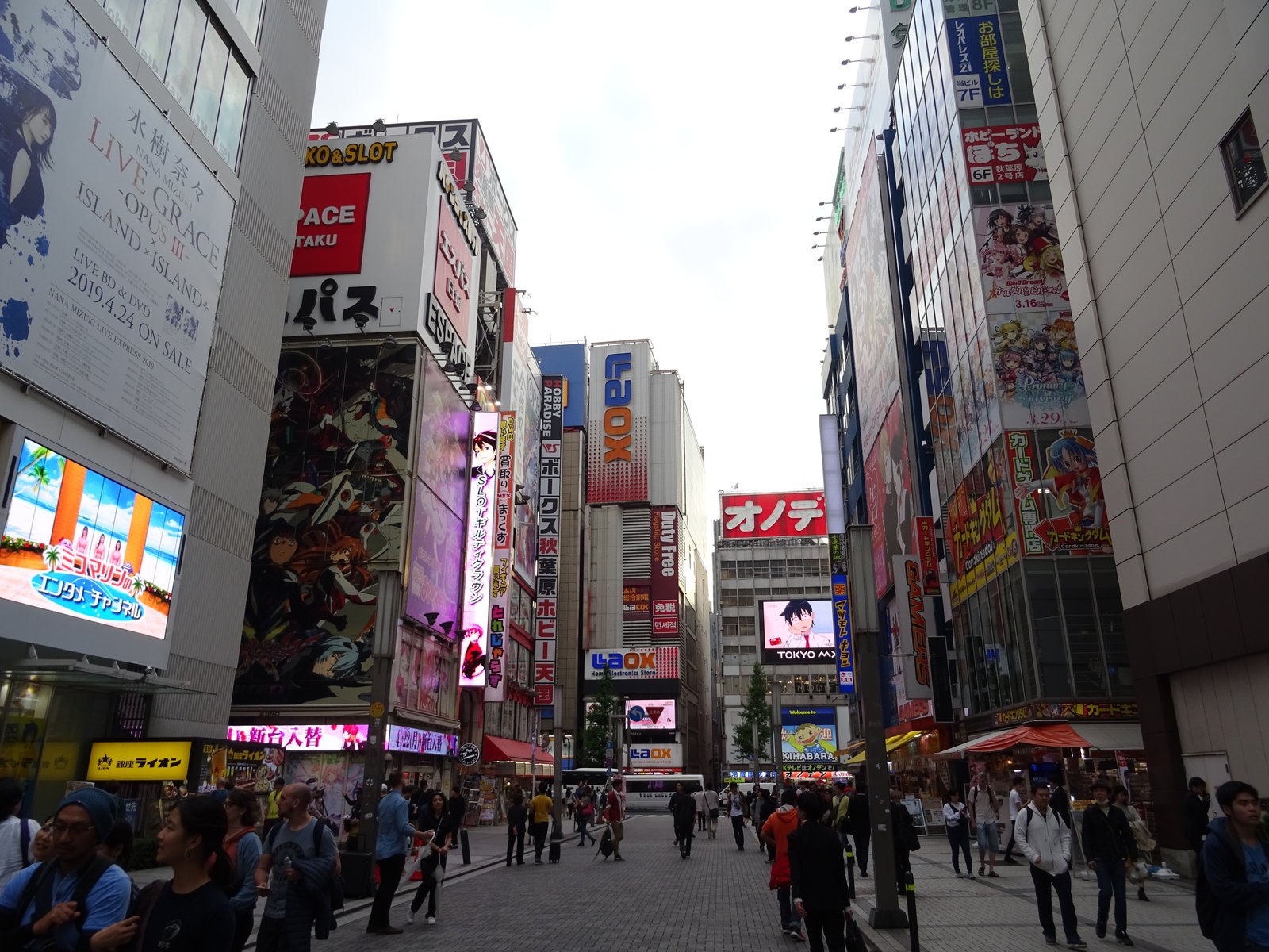 DSC01033.JPG