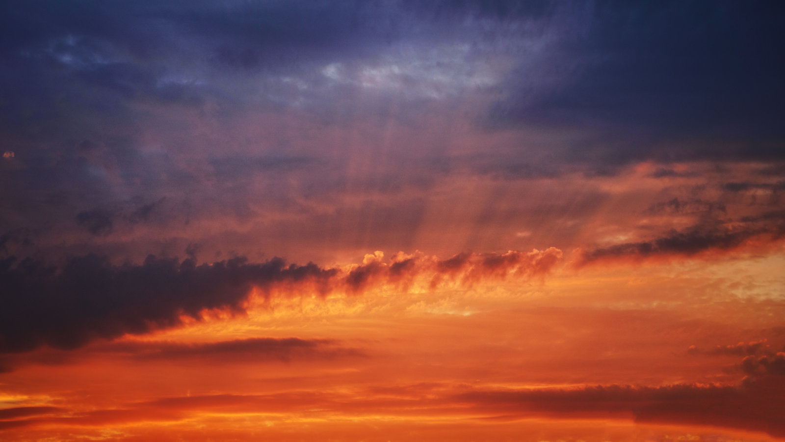 DSC01056-Edit-Edit.jpg