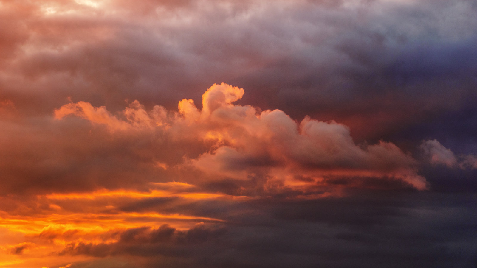DSC01092-Edit.jpg