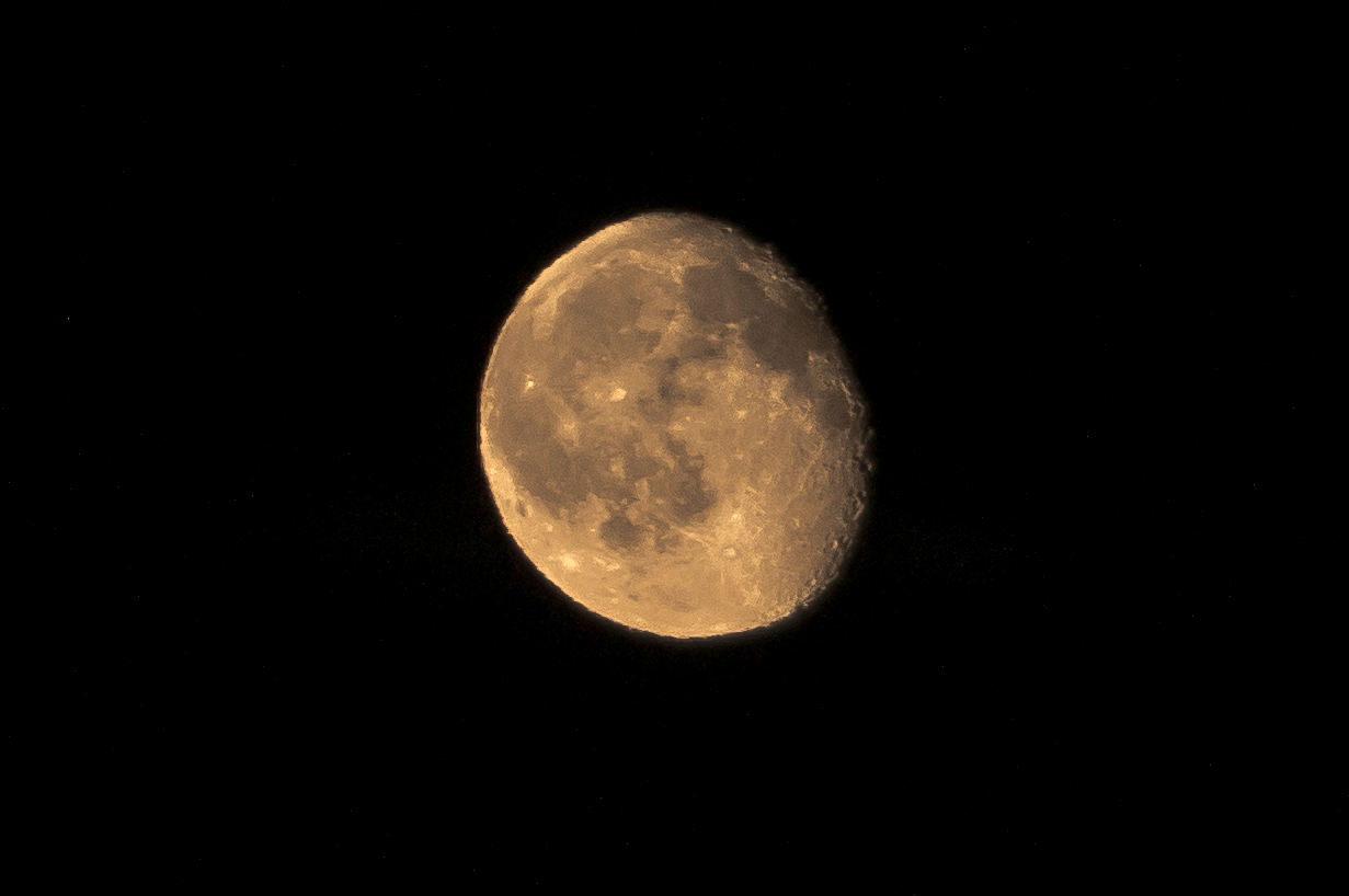 DSC01391.jpg