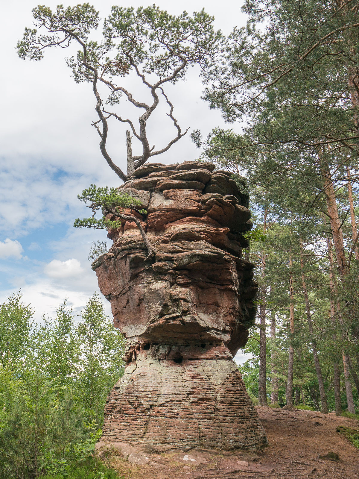 DSC01415-2.jpg