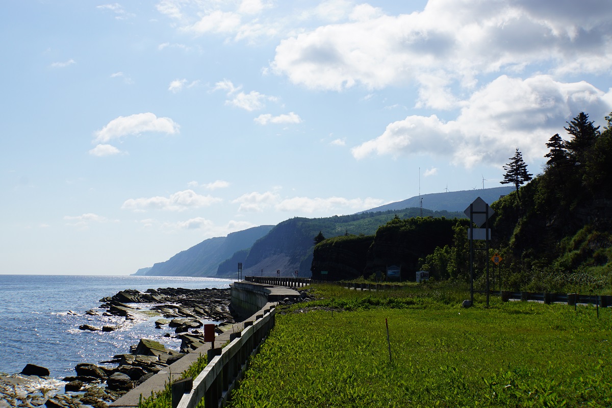 DSC01433.JPG