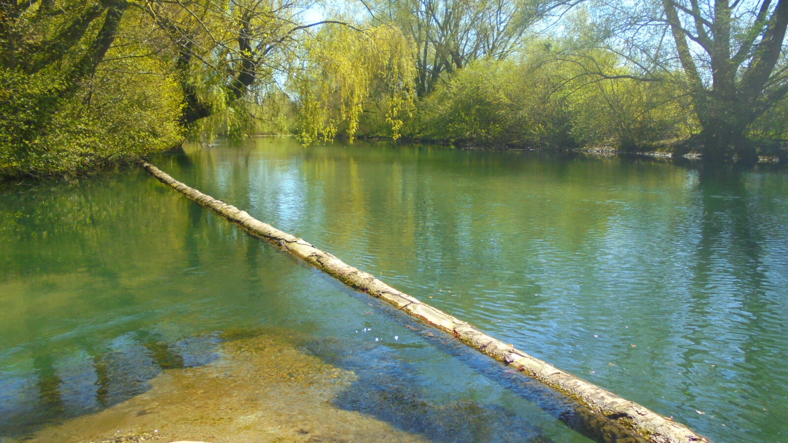 DSC01436.JPG