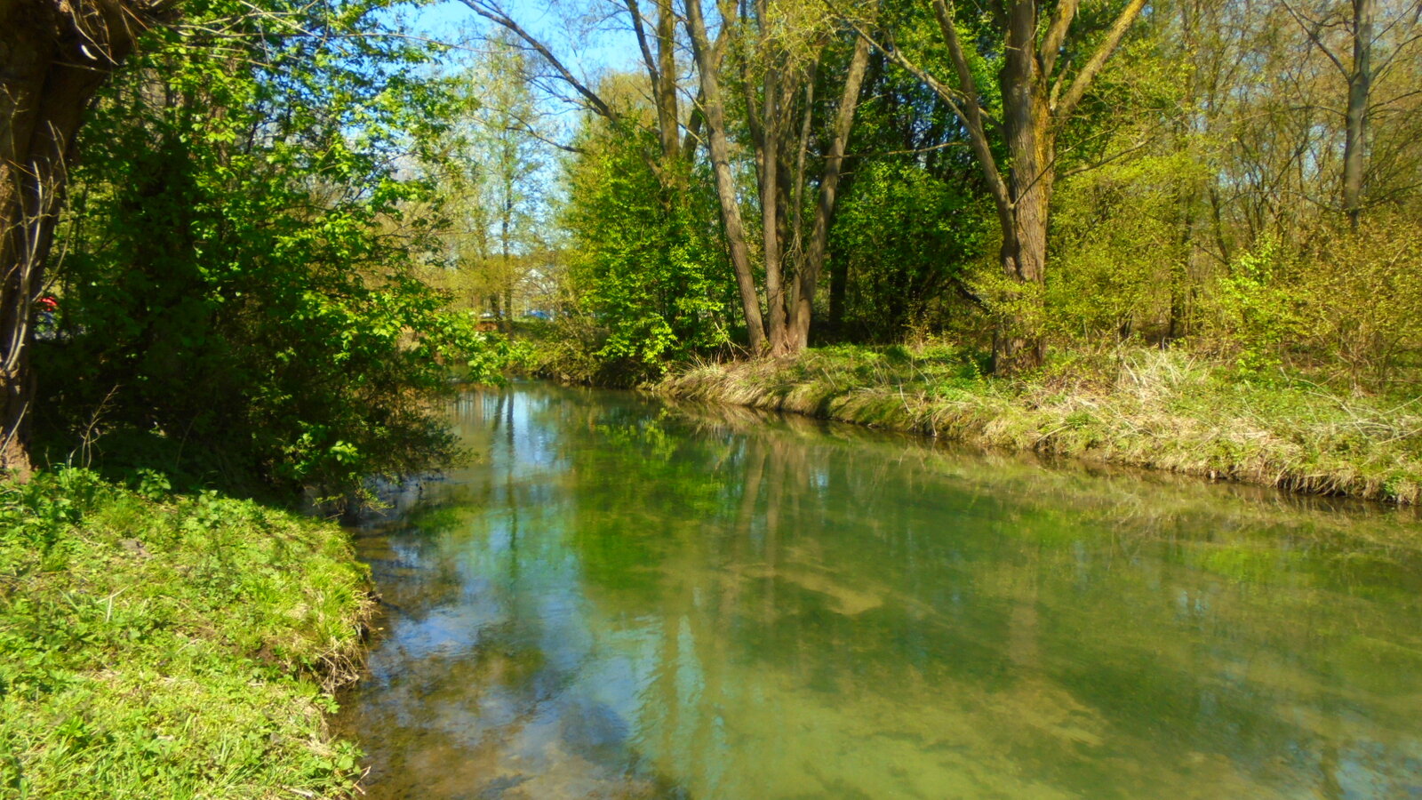 DSC01437.JPG
