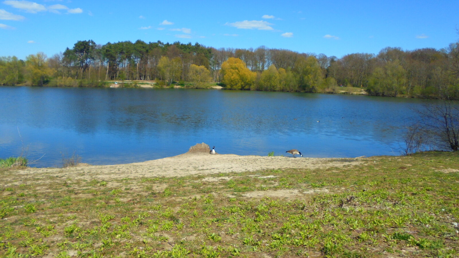 DSC01449.JPG