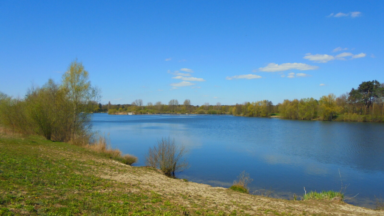 DSC01450.JPG
