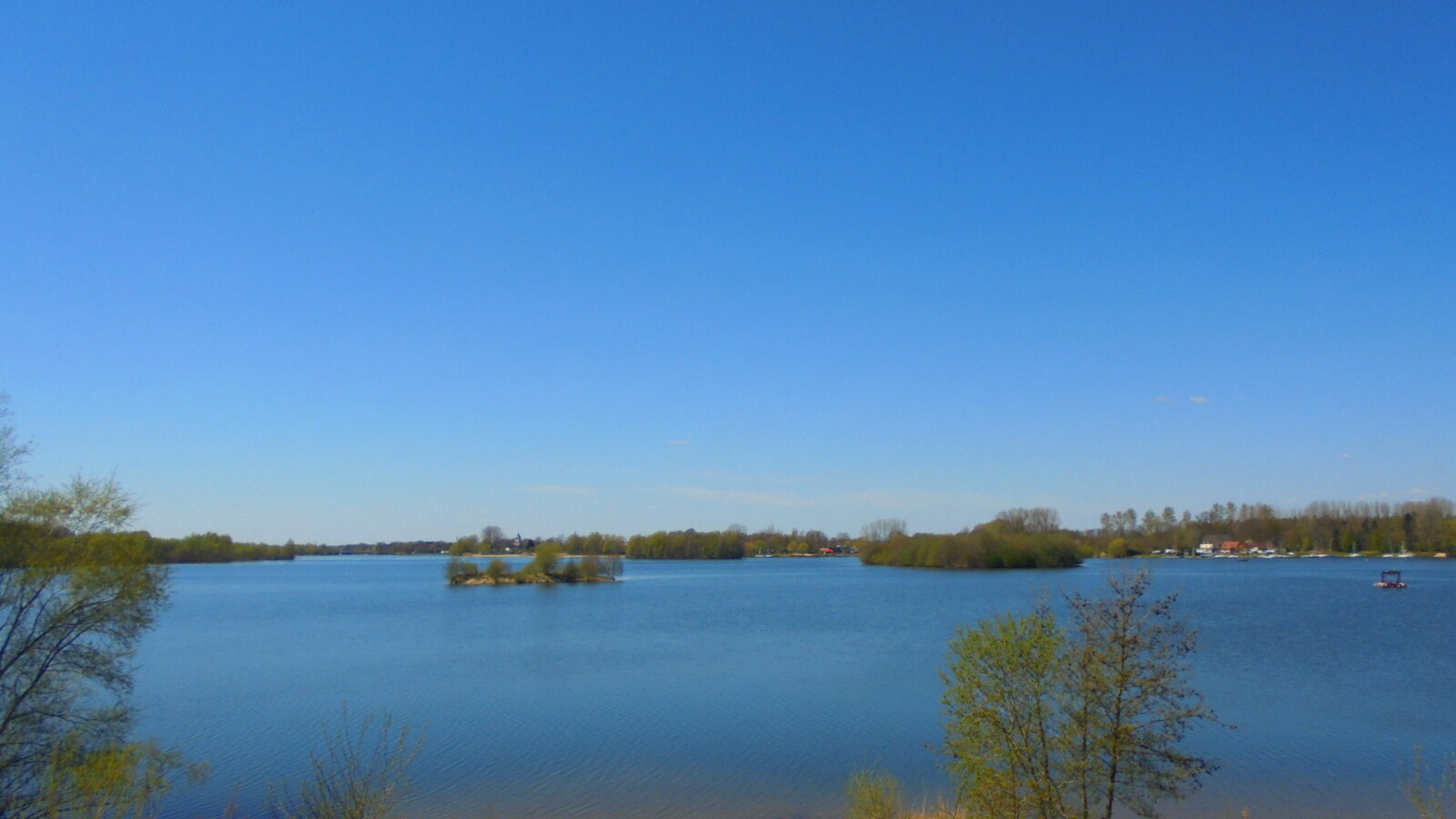 DSC01451.JPG