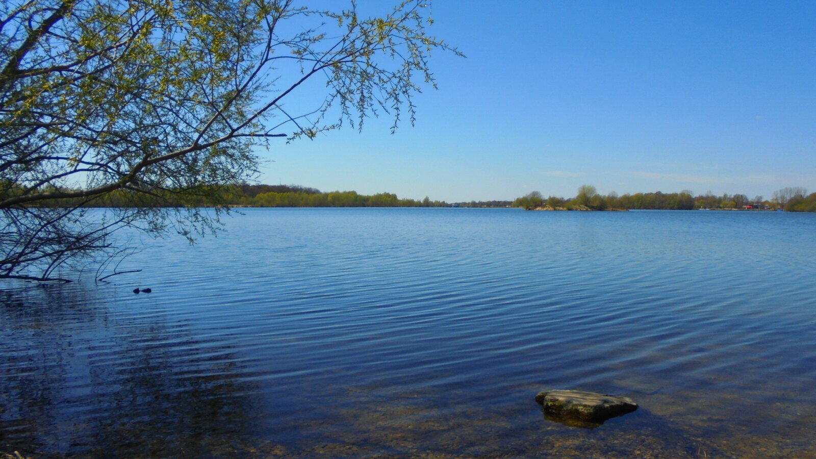 DSC01453.JPG