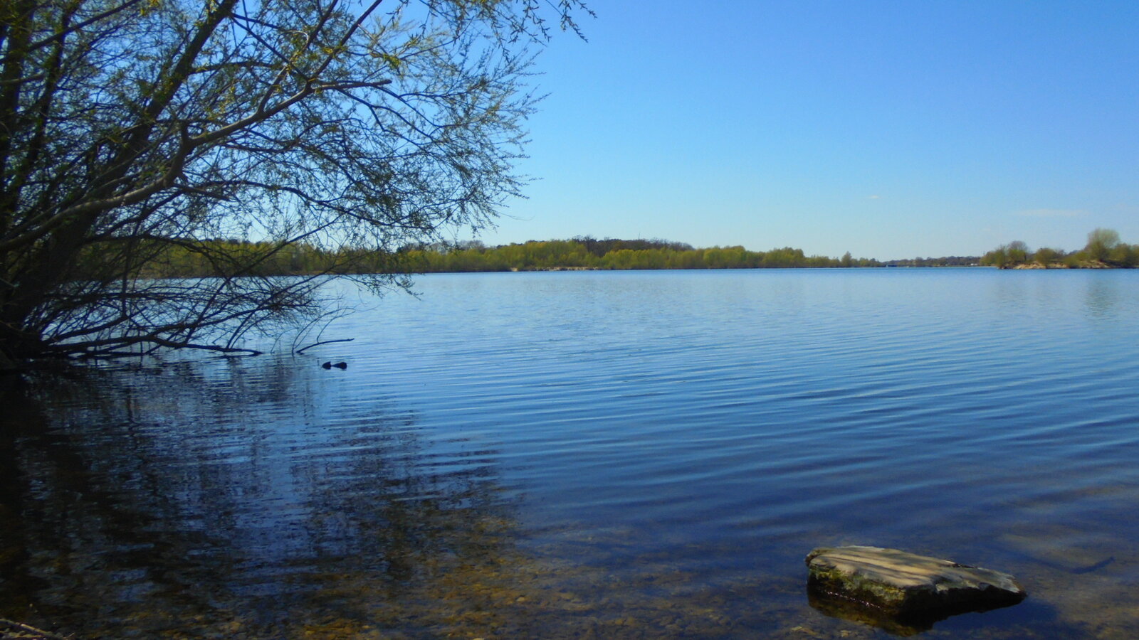DSC01455.JPG